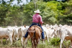 ASFAX, Associação dos Fazendeiros do Vale do Araguaia e Xingu, Advogado João Paulo Brzezinski, joao paulo brzezinski