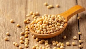 ASFAX, Associação dos Fazendeiros do Vale do Araguaia e Xingu, Advogado João Paulo Brzezinski, joao paulo brzezinski